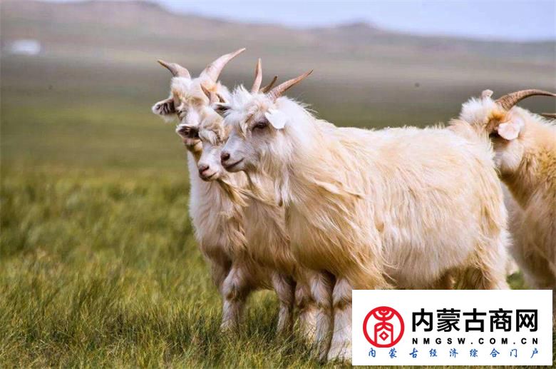 7aff30ac70191aa9d4207cb79648555.jpg