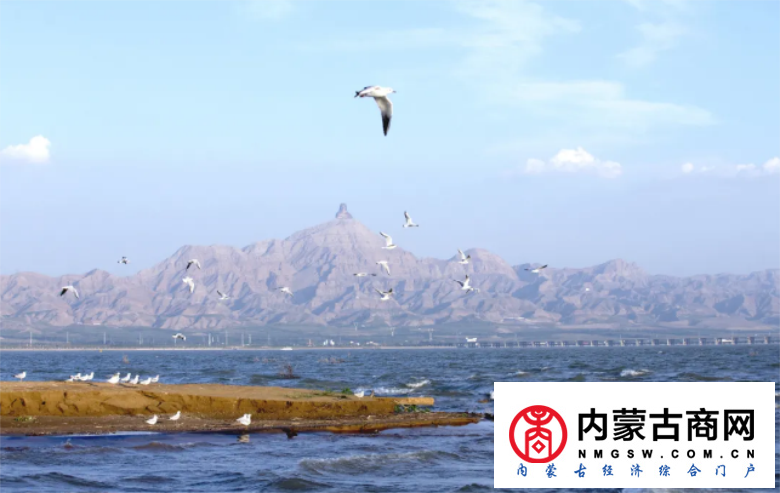 微信截图_20200910230559.png
