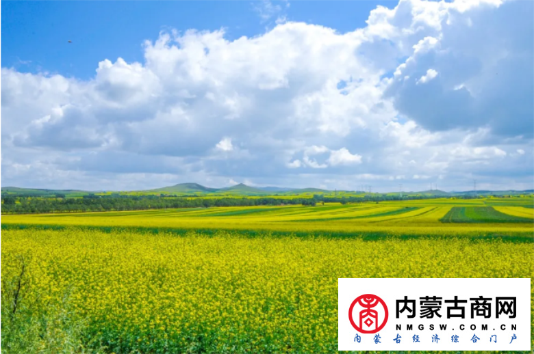 微信截图_20200910230643.png