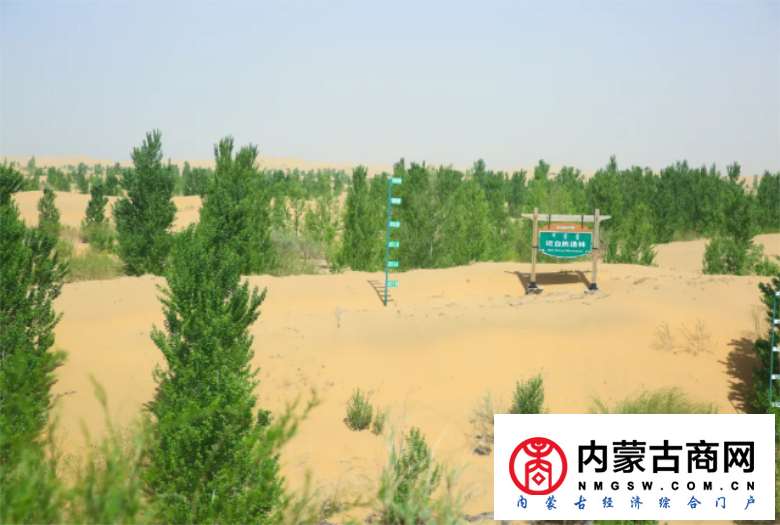 微信截图_20200910230707.png