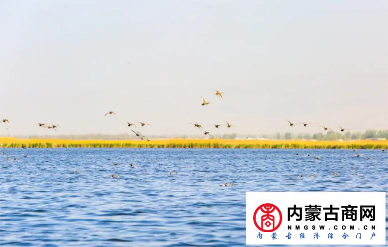 微信截图_20200910230825.png