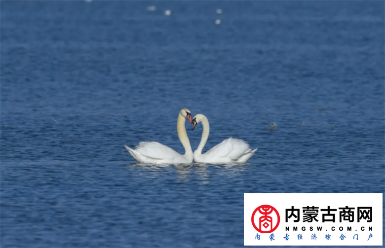 微信截图_20200910230837.png