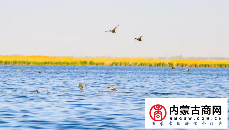 微信截图_20200910230848.png