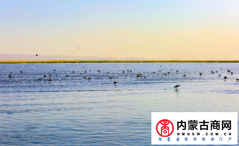 微信截图_20200910230911.png