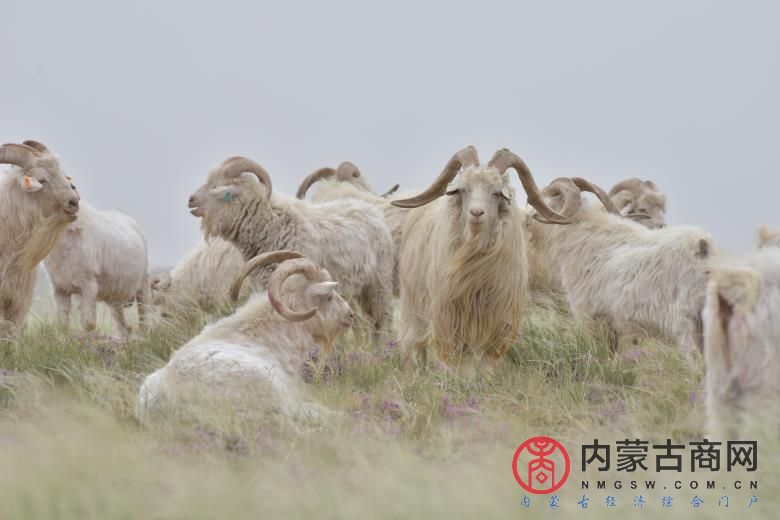 微信图片_20210629124144.jpg