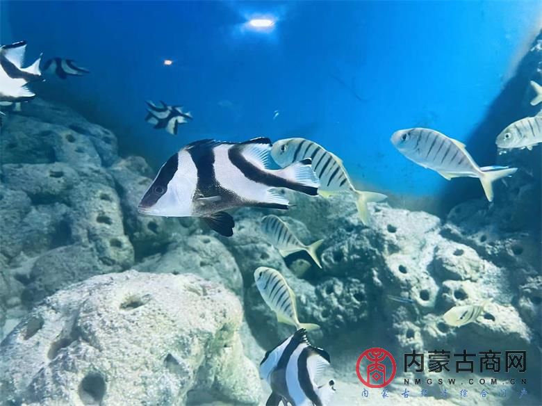 微信图片_202309061609392_看图王.jpg