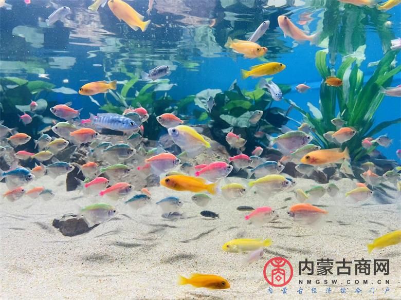 微信图片_20230909120009.jpg