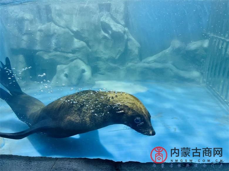 微信图片_20230907093331_看图王.jpg