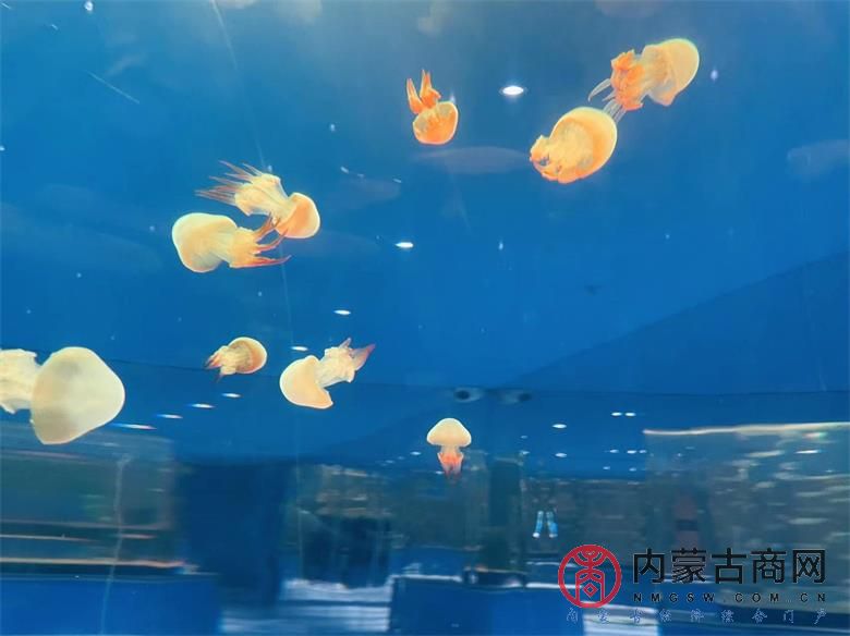 微信图片_20230907093338_看图王.jpg